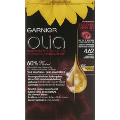 GARNIER Haarfarbe 4.62 Dark Garnet