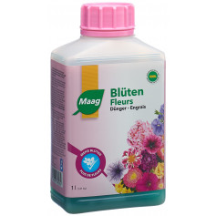 Maag Blüten