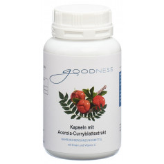 Goodness Eisen mit Vitamin C Kapseln aus natürlichen Rohstoffen Kapsel 600 mg