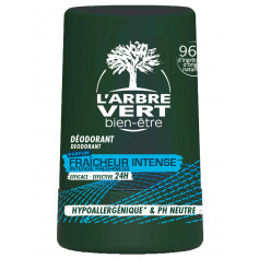 L'ARBRE VERT Öko Deodorant Roll-on Mann Provitamin B5 französisch