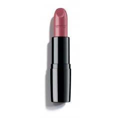 Perfect Color Lipstick 13.885