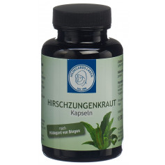 HILDEGARDS LADEN Hirschzungenkraut