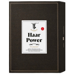 GAISBOCK Set Haar Power