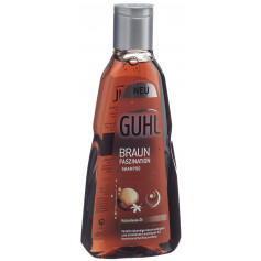 GUHL Farbglanz Braun Shampoo