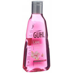 GUHL Lang & Geschmeidig Shampoo (alt)