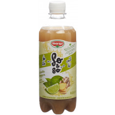 so&so Limette-Ingwer Konzentrat mit Stevia